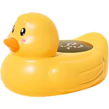 Wassertemperatur Ente