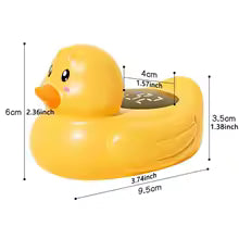 Wassertemperatur Ente