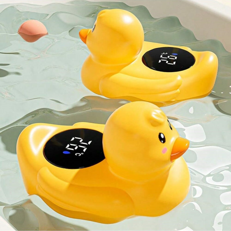 Wassertemperatur Ente