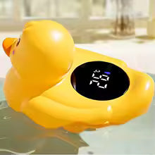 Wassertemperatur Ente